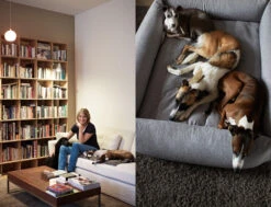 Panier Pour Chien Tweed Gris Clair Sleepy Deluxe -Produits Chien Chat Magasin katharina von der leyen luise harry fritz gretel sleepy deluxe