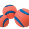 Chuckit! Balle De Lanceur Chuckit -Produits Chien Chat Magasin la 749b056eb1587586b71e2da9acfe4fbd19e1414135448