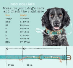 Collier En Cuir Paddy Lee Dwam 15 Collier En Cuir Paddy Lee Dwam -Produits Chien Chat Magasin maattabel collars en cm