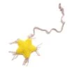 Jouet Pour Chat Star à La Cataire -Produits Chien Chat Magasin magicstar 444x444 3abf2c22 7ccb 4538 95b5 f0cc1608d6ab
