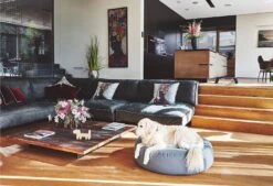 Pouf Pour Chien Stella -Produits Chien Chat Magasin mc c01 015 02 ml sleep stella pouffe slate fly 132