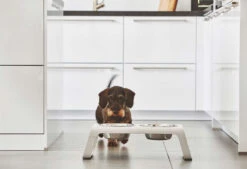 Double écuelle Surélevée Design Pour Chien Desco Bois -Produits Chien Chat Magasin mc c06 007 02 m eat desco ash white simba 2205 2