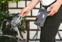 Sac à Récompenses Lupo Miacara -Produits Chien Chat Magasin mc c13 006 01 accessories lupo snack bag graphite 6