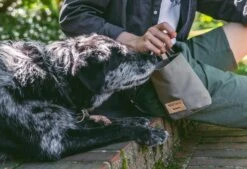 Sac à Récompenses Lupo Miacara -Produits Chien Chat Magasin mc c13 006 02 accessories lupo snack bag taupe 8