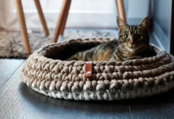 Panier Pour Chat Nido -Produits Chien Chat Magasin mc g02 005 01 sleep nido taupe coco 2 224 galerie
