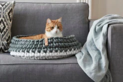 Panier Pour Chat Nido -Produits Chien Chat Magasin mc g02 005 02 sleep nido grey singa 2 261 web 1 67c500f2 ec6e 4f82 9813 cd3b4e15c214