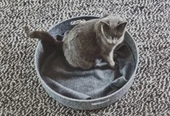 Panier Pour Chat Design Cesto 13 Panier Pour Chat Design Cesto -Produits Chien Chat Magasin mc g02 008 01 sleep cesto concrete mia 1423 984