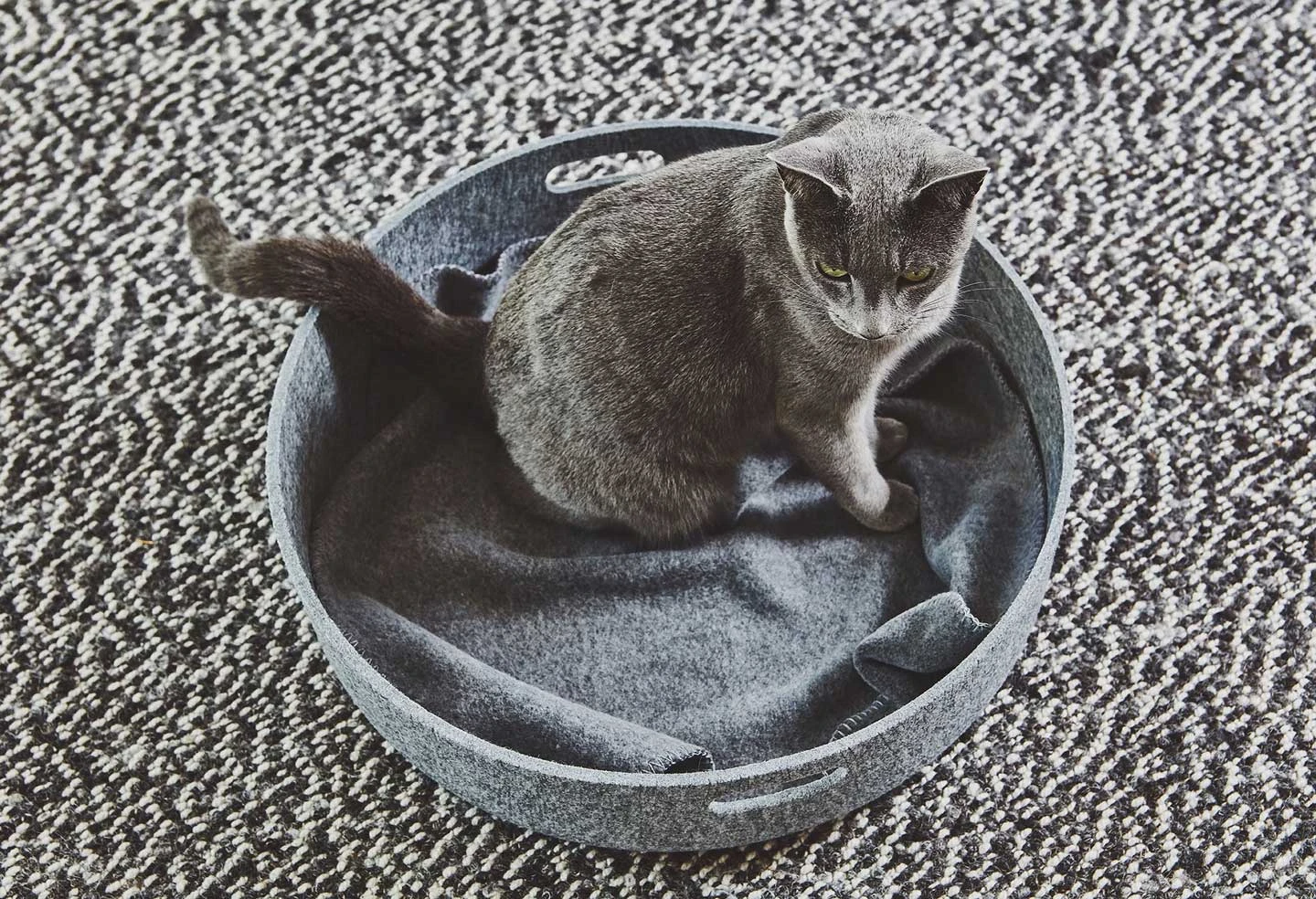 Panier Pour Chat Design Cesto 8 Panier Pour Chat Design Cesto – Image 6