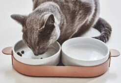 Bols Doubles Pour Chat Tavoletta -Produits Chien Chat Magasin mc g06 010 02 eat tavoletta cat feeder nude mia 06 1