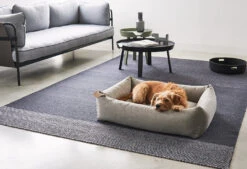 Lit Pour Chien Orthopédique Mare -Produits Chien Chat Magasin mc mare sand 2 recolored