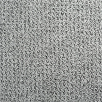 Serviette Absorbante Pour Chien Microfibres 4 Serviette Absorbante Pour Chien Microfibres – Image 2