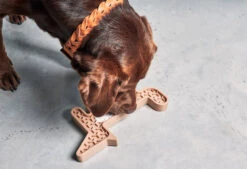 Jeu D'activité Volpe -Produits Chien Chat Magasin mc volpe nude2