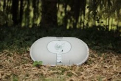 Nidoo, L'arbre Après La Vie -Produits Chien Chat Magasin nidoo photo