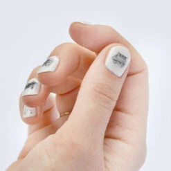 Stickers Autocollant Pour Ongle ~ Chat ~ -Produits Chien Chat Magasin original cat nail transfers 3