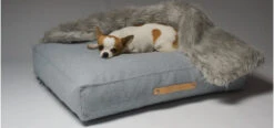Coussin Pour Chien De Style Nordique 16 Coussin Pour Chien De Style Nordique -Produits Chien Chat Magasin oslo 72d9cb05 b068 490c ad7e 5268a31d5877