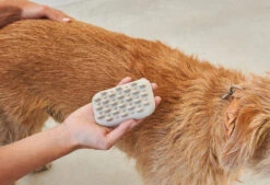 Brosse Pour Chien (poil Court Et Long) -Produits Chien Chat Magasin pelo bildergalerie2