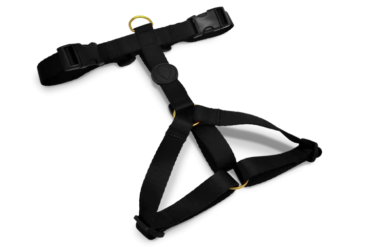 Harnais En H Pour Chien Caviar 3 Harnais En H Pour Chien Caviar