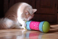 Pipolino M -Produits Chien Chat Magasin pipolino chat 2664c1c4 dcc5 4239 9d44 3a71f002fe4d