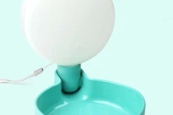 Gourde Pour Chien Avec Bol D’eau -Produits Chien Chat Magasin plus pingui aq