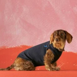 Body Pour Chien Josef -Produits Chien Chat Magasin prod 02