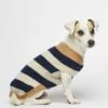 Pull Pour Chien En Laine Anni -Produits Chien Chat Magasin pw fw20 21 2 1280x1280 1