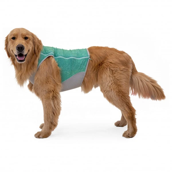 Gilet Rafraichissant Pour Chien Ruffwear Swamp Cooler 4 Gilet Rafraichissant Pour Chien Ruffwear Swamp Cooler – Image 2