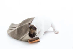 Couverture En Laine Recyclée Ansel Duepuntootto 11 Couverture En Laine Recyclée Ansel Duepuntootto -Produits Chien Chat Magasin s768842417857699996 p35 i8 w1200