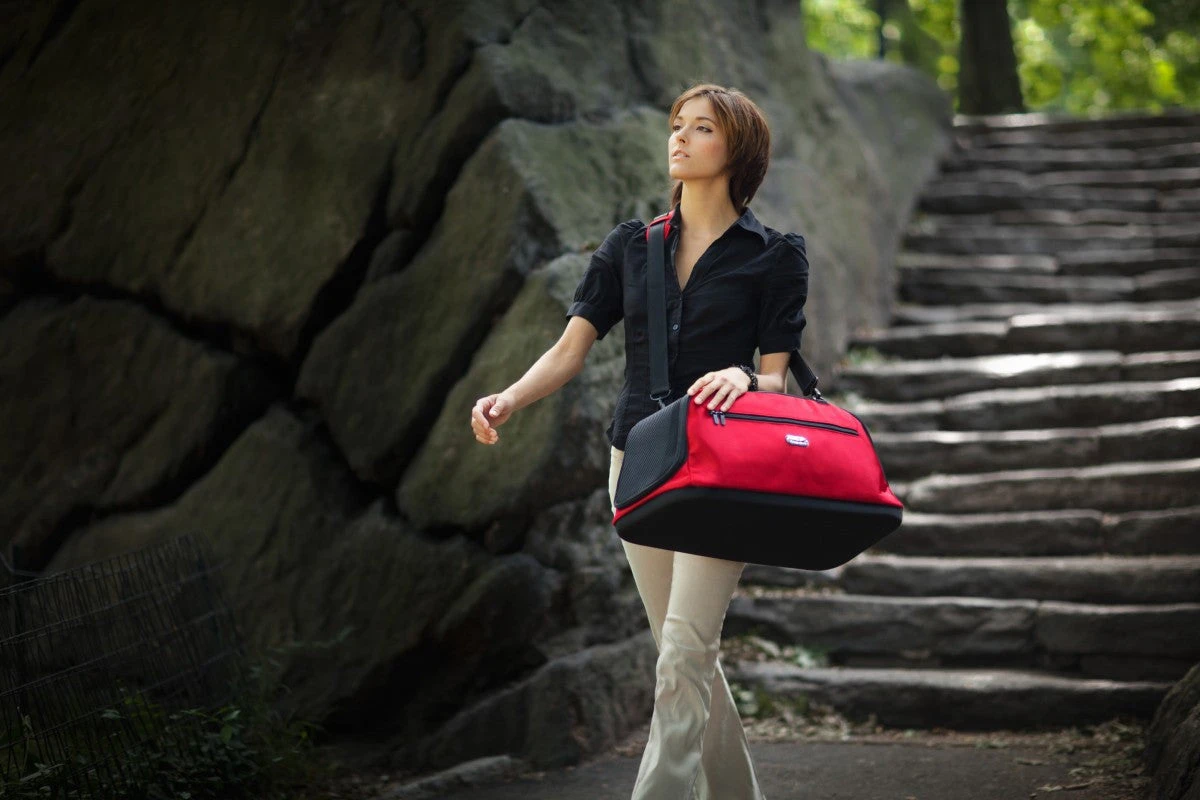 Sac De Transport Pour Chien/chat Spécial Avion 12 Sac De Transport Pour Chien/chat Spécial Avion – Image 10