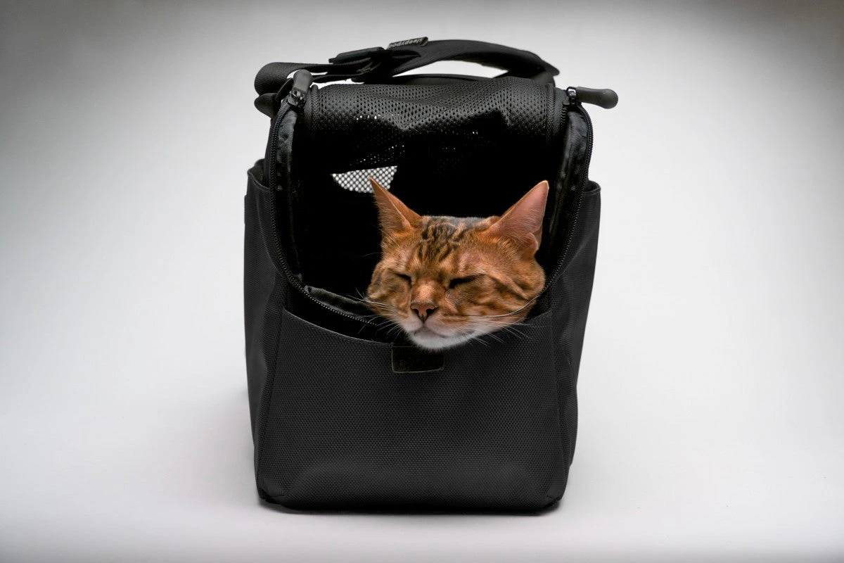 Sac De Transport Pour Chats Et Petits Chien Atom 6 Sac De Transport Pour Chats Et Petits Chien Atom – Image 4