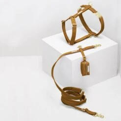 Porte Sacs à Excréments See Scout Sleep -Produits Chien Chat Magasin seescoutsleep scot harnessset breen