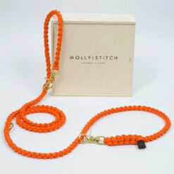 Laisse Pour Chien En Corde Réglable (11 Couleurs) 18 Laisse Pour Chien En Corde Réglable (11 Couleurs) -Produits Chien Chat Magasin sl1501 sport 200 pumpkin 6