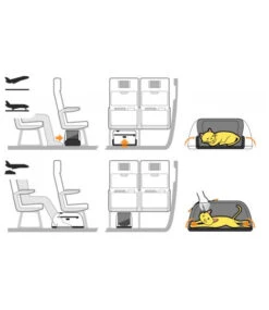 Sac De Transport Pour Chien/chat Spécial Avion 20 Sac De Transport Pour Chien/chat Spécial Avion -Produits Chien Chat Magasin sleepypod air bb2741e3 b99f 4b96 9dd2 1a5829422a9a