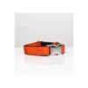 Collier Pour Chien Solid Orange -Produits Chien Chat Magasin solid orange 1
