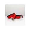 Laisse Pour Chien Solid Red 1 Laisse Pour Chien Solid Red -Produits Chien Chat Magasin solid red b8d245f1 9dcb 4a5d 8f40 a44beee06d73