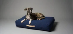 Coussin Pour Chien De Style Nordique 15 Coussin Pour Chien De Style Nordique -Produits Chien Chat Magasin stockholm b3f9bbe7 8c65 48e5 be7d 9509769ebeb9
