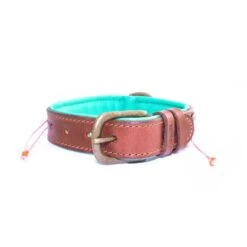 Collier En Cuir Et Perles Sweet Mae Dwam 11 Collier En Cuir Et Perles Sweet Mae Dwam -Produits Chien Chat Magasin sweet mae 2 5 cm collar m 5750 en G
