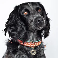 Collier En Cuir Et Perles Sweet Mae Dwam 13 Collier En Cuir Et Perles Sweet Mae Dwam -Produits Chien Chat Magasin sweet mae 2 5 cm collar m 6368 en G