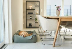 Lit Douillet Pour Chien Velluto -Produits Chien Chat Magasin velluto bildergalerie