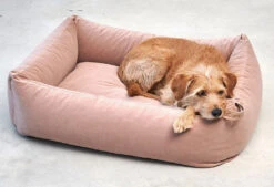 Lit Douillet Pour Chien Velluto -Produits Chien Chat Magasin velluto bildergalerie1