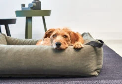 Lit Douillet Pour Chien Velluto -Produits Chien Chat Magasin velluto bildergalerie2