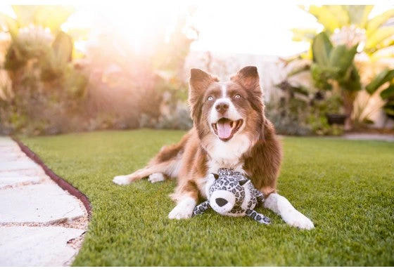 PLAY Peluche Leo Le Léopard Des Neiges Collection Safari 4 PLAY Peluche Leo Le Léopard Des Neiges Collection Safari – Image 2